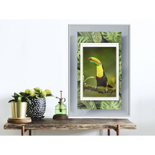 Sansibar Home Gerahmtes Poster Toucan Im Rahmen Wayfair De